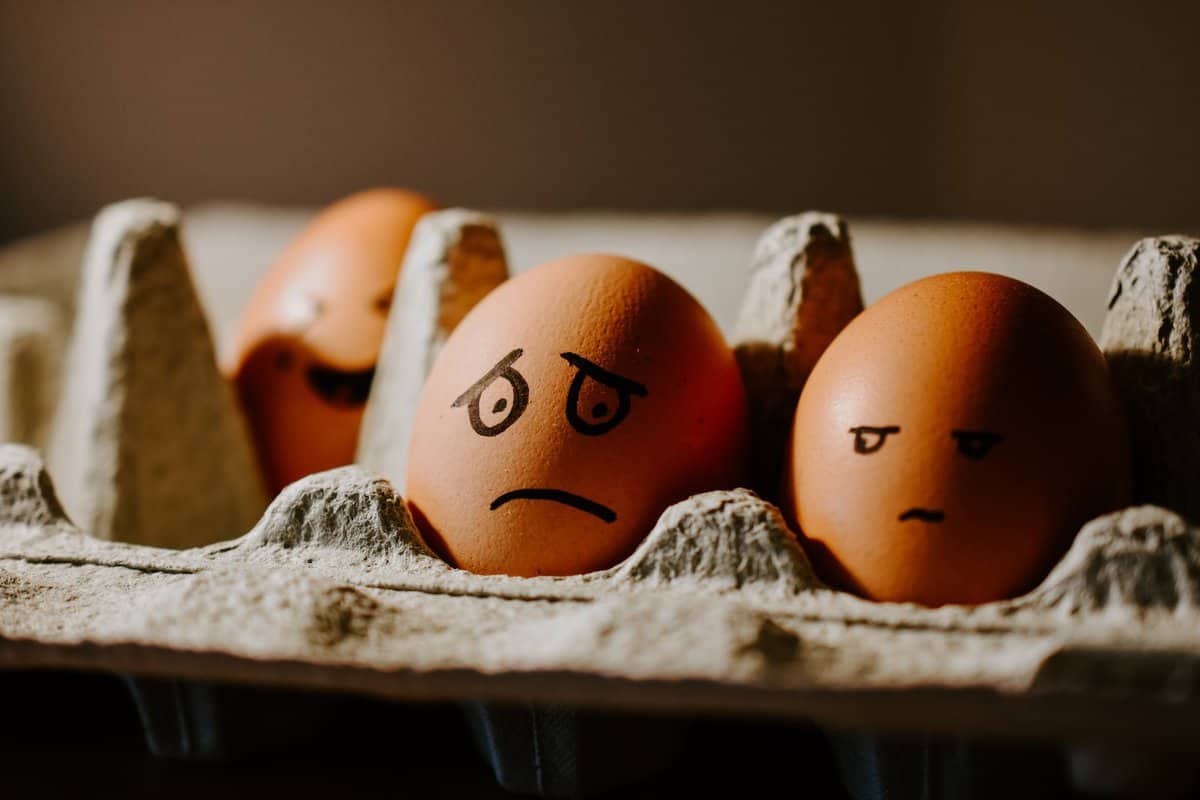 eggs in eggbox looking at each other