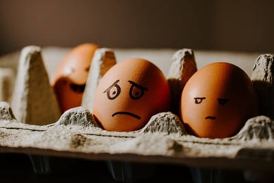 eggs in eggbox looking at each other