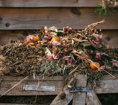 a compost heap